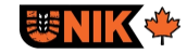 Unik