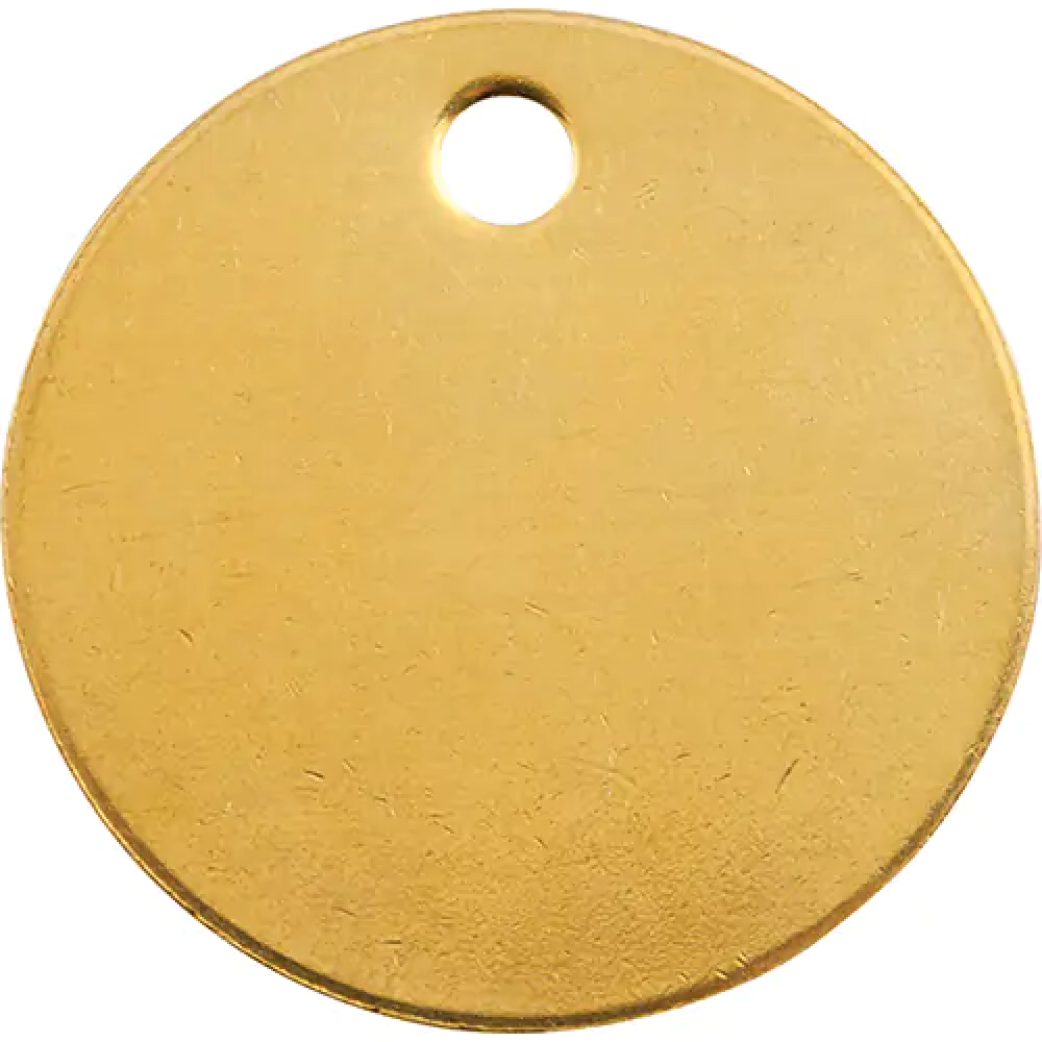 Lot de 100 étiquettes vierges, Laiton, 1,25" dia.