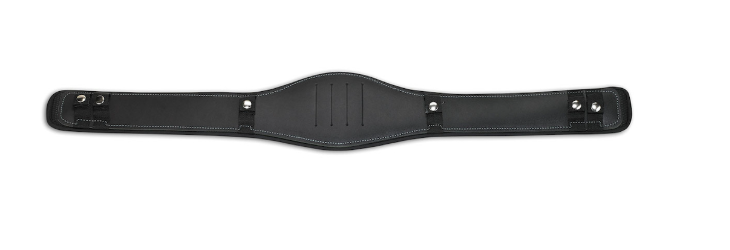 Dynamic, support lombaire pour la ceinture L-XL