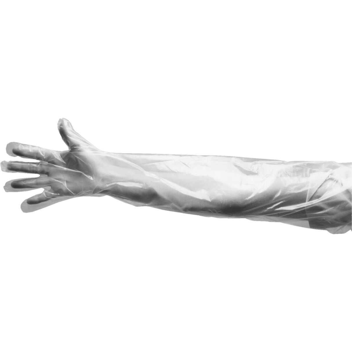 Boite de 100 gants jetables, grand, polyéthylène, 9 mils, poudrés, transparent