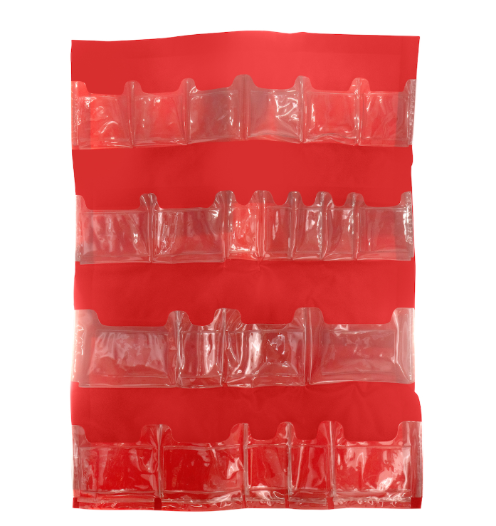 Insert pour conteneurs, 12 poches