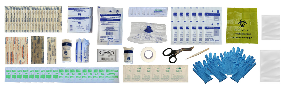 Petite trousse de premiers soins Type 2 en plastique 81CSA-0002-0 (2-25 personnes)